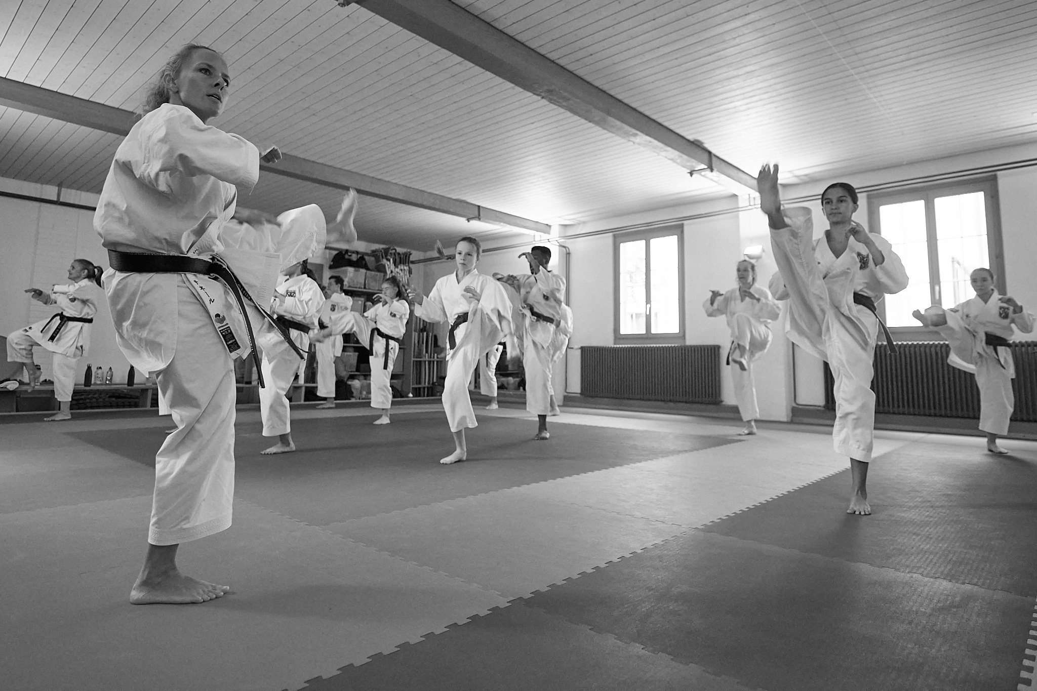 ZEN SHIN Karate-Do Training Erwachsene