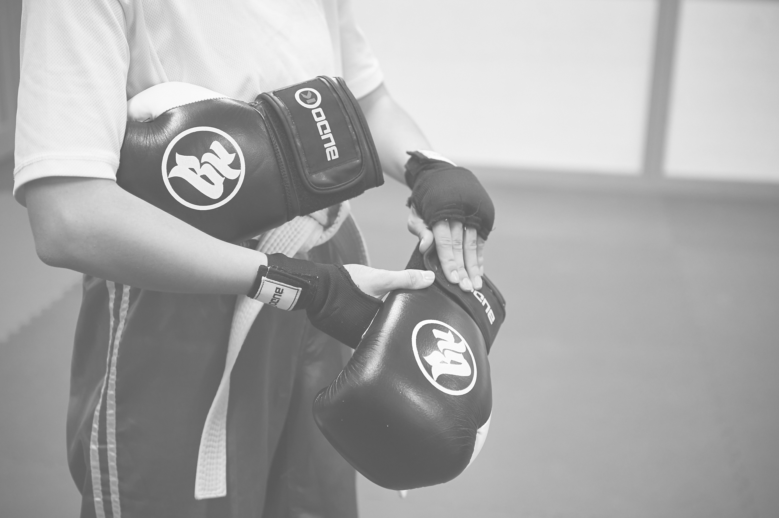 ZEN SHIN Kick-Boxing Trainingshandschuhe