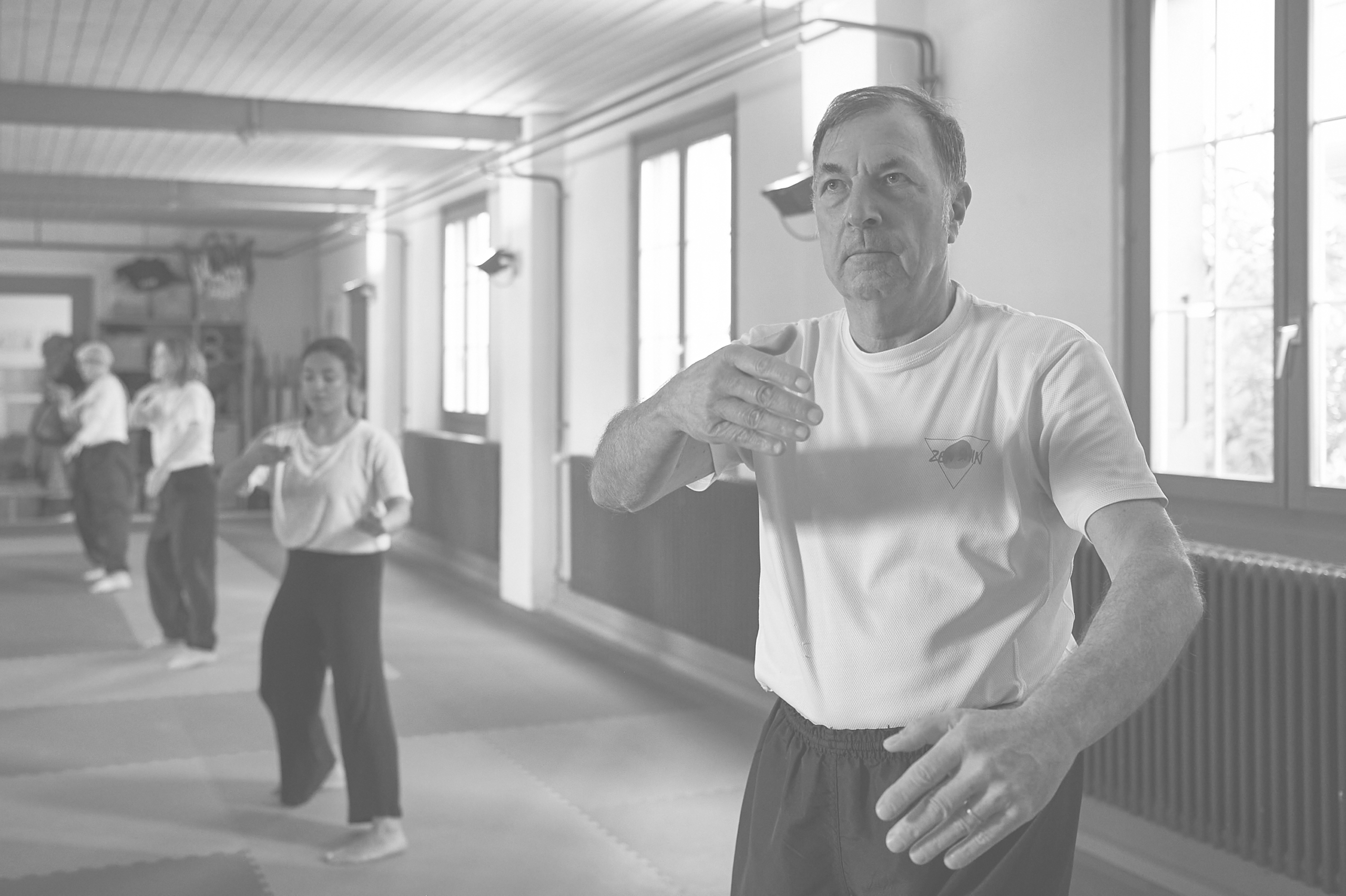 ZEN SHIN Training Taiji-Quan & Qi-Gong