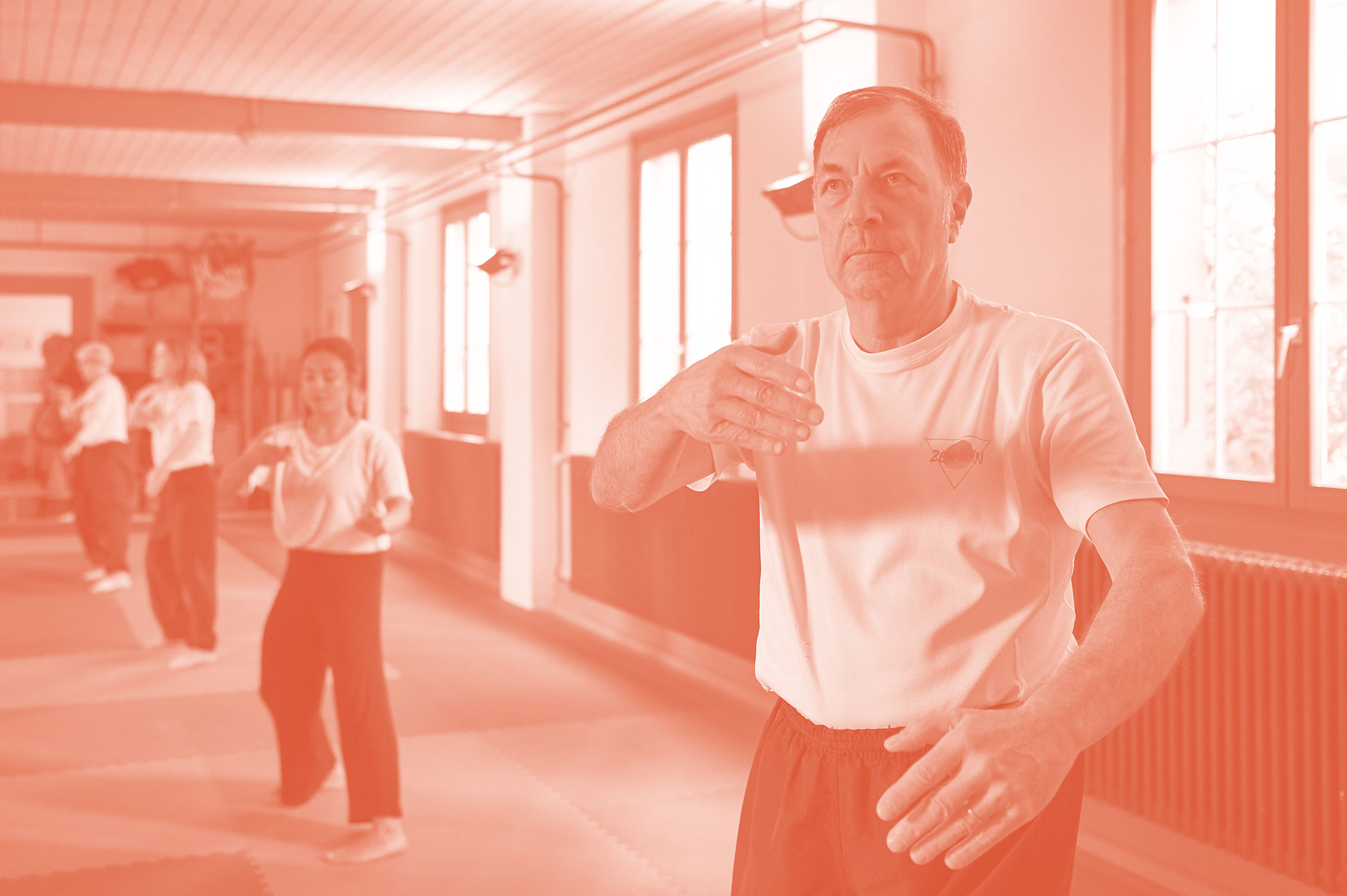 ZEN SHIN Training Taiji-Quan & Qi-Gong
